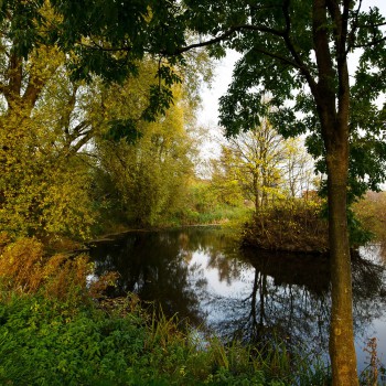 Groß Schwansee und Umgebung