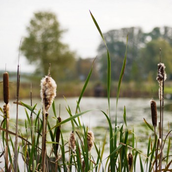 Groß Schwansee und Umgebung